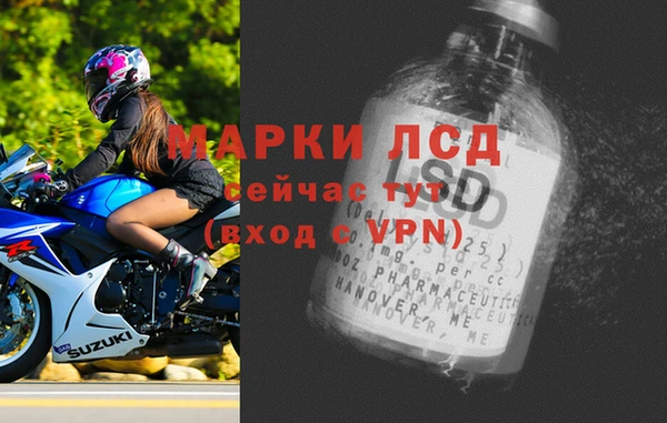 твердый Михайлов