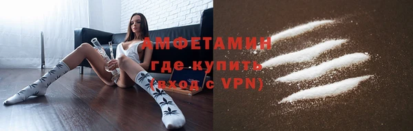 твердый Михайлов