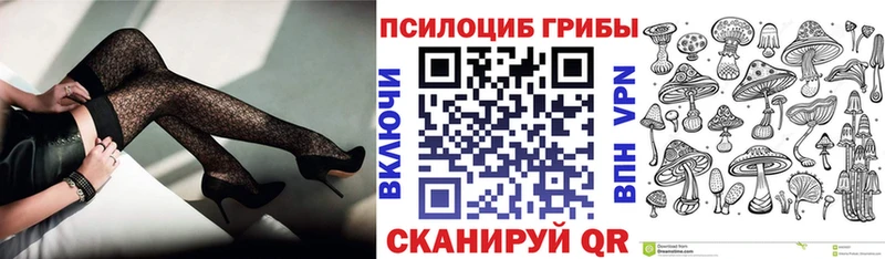 Галлюциногенные грибы мицелий  дарнет шоп  Новотитаровская 